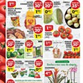 PINGO DOCE Lojas Grandes 4 a 10 agosto p6.jpg